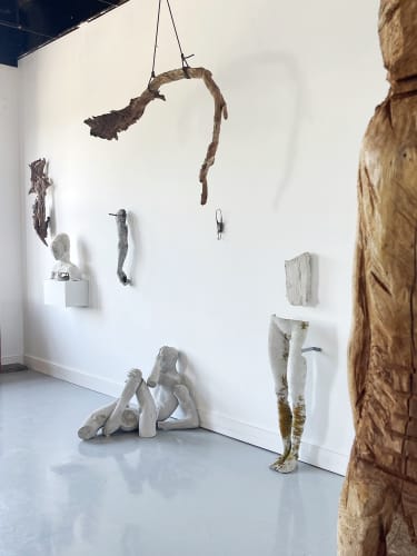 Emil Alzamora: Irrational Experiments, Beacon, NY