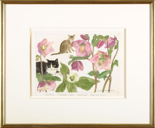 Elizabeth Blackadder Cats Fred and Rosie Amongst the Helleborus and Lenten Rose, c. 1982-1989 watercolor and pencil on handmade paper 8 1/2 x 11 1/2 inches 17 1/4 x 20 1/8 inches (framed)