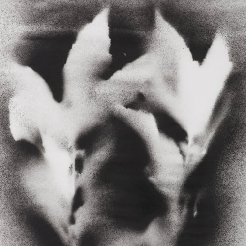 UKRAÏNA - S E R I E S