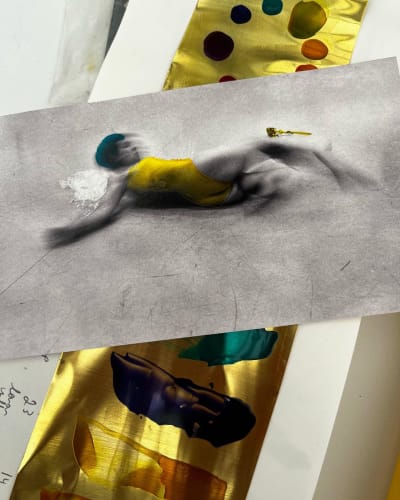 Ventnor Botanic Gardens, Artist Residency Summer 2023