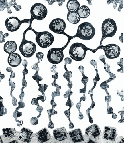 Turning to the Light © John Lyon Paul