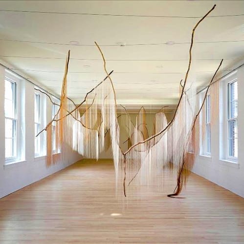 After the Birds- a film by Meira Blaustein and Megan Sperry about the work of Millicent Young