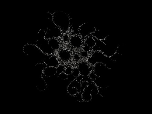 Katherine Claypole | Pareidolia, {Suite} Wellington