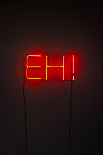 Wayne Youle | Vernacular, {Suite} Ponsonby