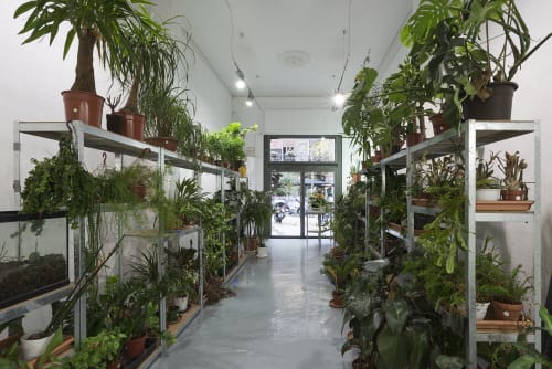 Who wants to be an impatient gardener?, Pep Vidal