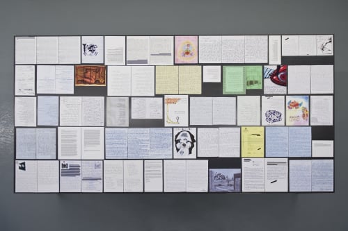 Alegaciones desplazadas, Núria Güell