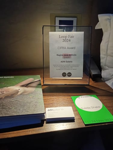 CIFRA Award to SIREN by Regina José Galindo