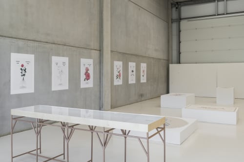 Real Beauty en ADN Platform