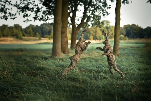 The Grove , Hertfordshire