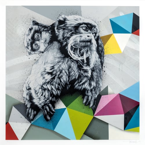 two black and white monkeys over colorful geometric shapes