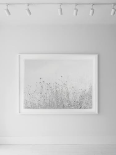 no. 0996, Cas Friese