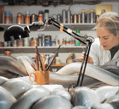 GETTING UNDER THE SKIN OF POLLY MORGAN