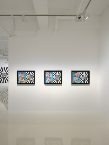 Blossoms in Spiritual Time