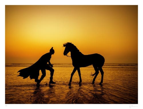 the daily bat Sebastian magnani at zebra one gallery