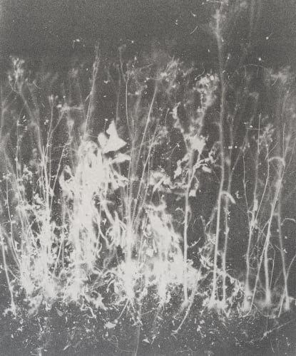 菊間 雄一郎:「夏の痕跡」