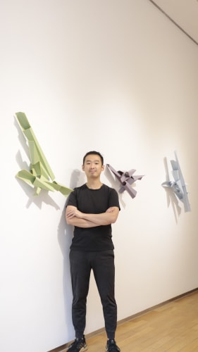 Rubiks and Crystals, Sculptures by Anton Poon