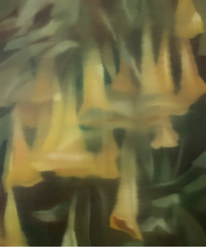 Johanna Bath, Angel trumpet, Oil on canvas, 55 x 46 cm 21 5/8 x 18 1/8 in