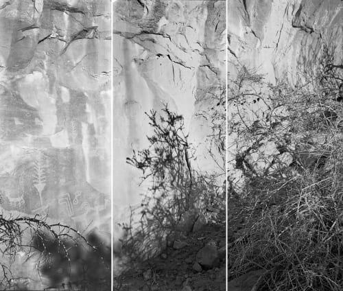 Lois Conner: Flat Earth , @ Robert Klein Gallery (38 Newbury Street)