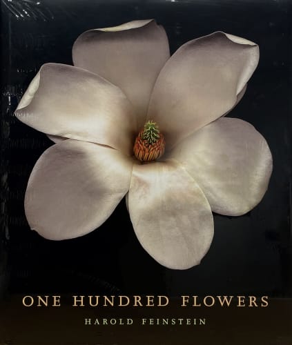 One Hundred Flowers , Harold Feinstein