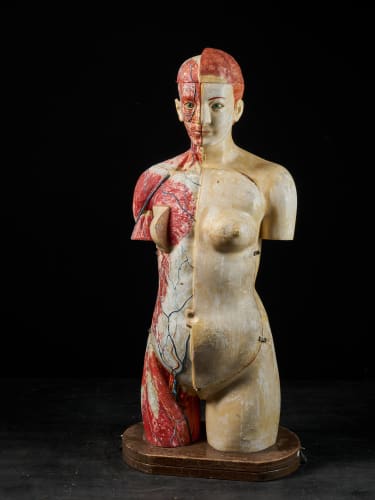 Spectandum sells three top didactic objects to the Robert L. Brown History of Medicine Collection