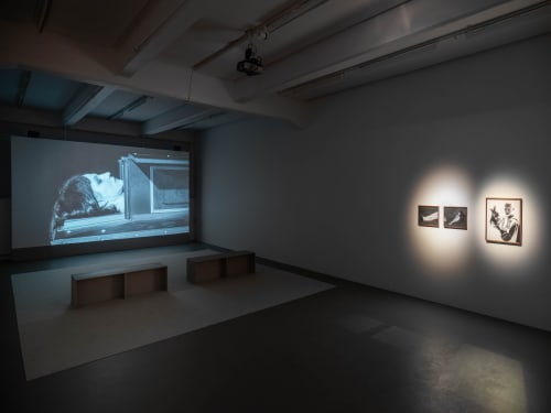 Installation view, Tova Mozard, The Mismade Girl, 2020, Cecilia Hillström Gallery. Photo: Jean-Baptiste Béranger