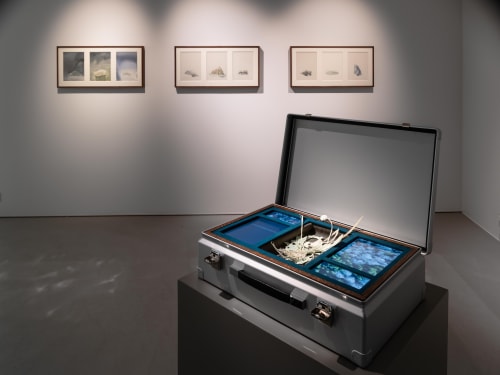 Installation view, Johannes Heldén, Worlds, 2019, Cecilia Hillström Gallery. Photo: Jean-Baptiste Béranger