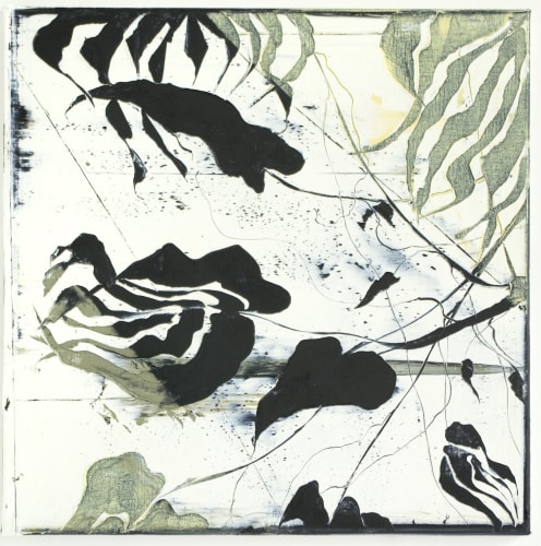 Ronald Zuurmond | Reality Imagined