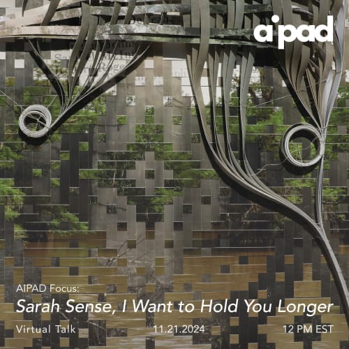 AIPAD Talks, Depth of Field with Sarah Sense and Bruce Silverstein