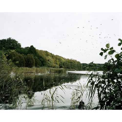 Nicolai Howalt & Trine Sondergaard, How to Hunt