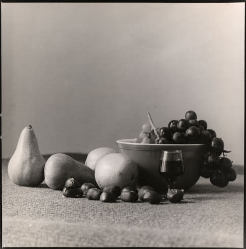 Waiting to be Seen: Illuminating the Photographs of Ray Francis