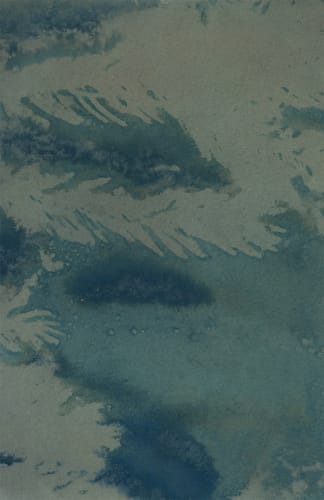 Dakota Mace, Tó (Water) III, Digital archival print of scanned cyanotypes, 2021