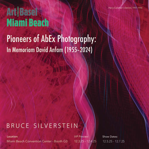 Rare Basquiat Photos and More Art to See in Miami This Week