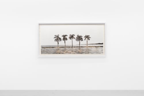 Natural Abstractions Florida, BILL CLAPS' SOLO SHOW