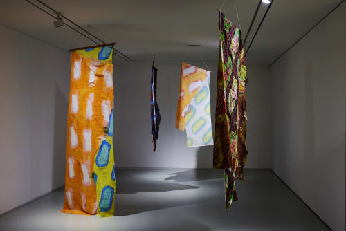 Claude Viallat, 클로드 비알라