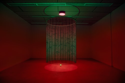 Shellie Zhang, Bamboo Canopy, 2024