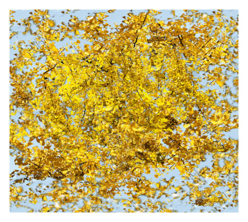 Ralf Peters, Globes Part 1, 2025, Inkjet print on paper / Diasec, 160 x 180 cm