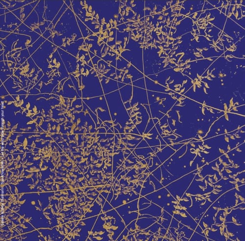 Let the Wind blow through your Heart, Sue Arrowsmith