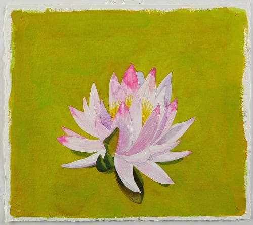 Water Lily, Loxahatchee (Day), 2019