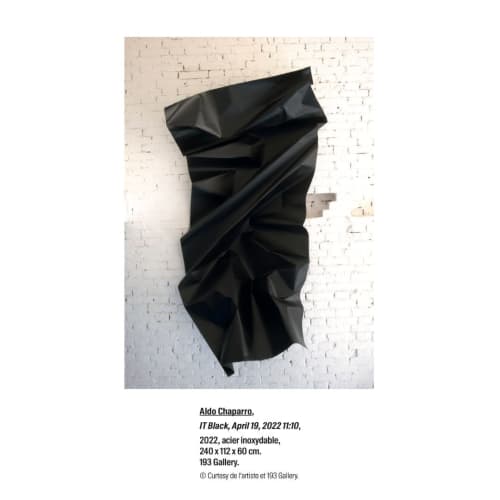 Aldo Chaparro pushes the limits - Le Quotidien de l'Art