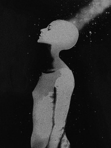 Bastiaan Woudt, Echo 8, 2024