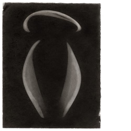 Muranium - Fantôme, Platin Palladium Print