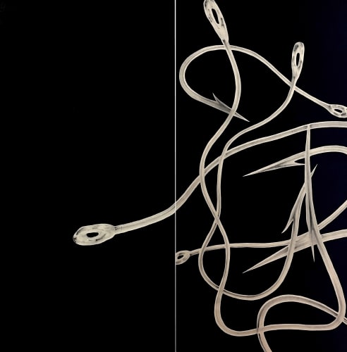 THROUGH THE LOOKING GLASS