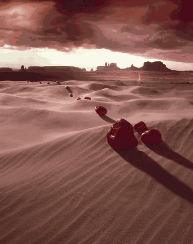 Art Exhibit Stretches The Sensory