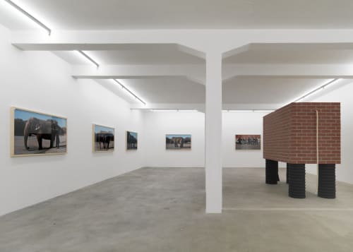 Installation view, Javier Telléz: Der Brief über die Blinden zum Gebrauch für die Sehenden, Galerie Peter Kilchmann, Zurich, Switzerland, 2008