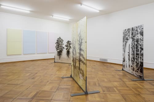 Installation view, (Un)certain Ground, Uwe Wittwer, Centre Pasquart, Biel, Switzerland, 2022