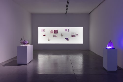 Melanie Smith Solo Exhibition at MAZ, Zapopan, Mexico