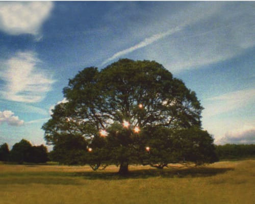 Adrian Paci , Adrian Paci: Per Speculum, 2007