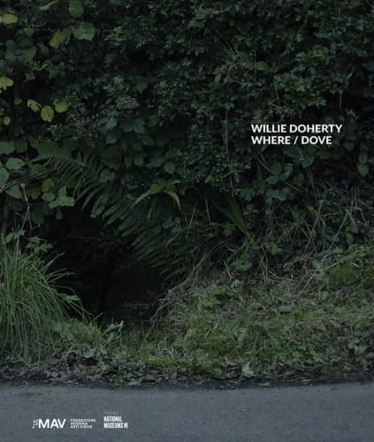 Willie Doherty, Where / Dove, 2020