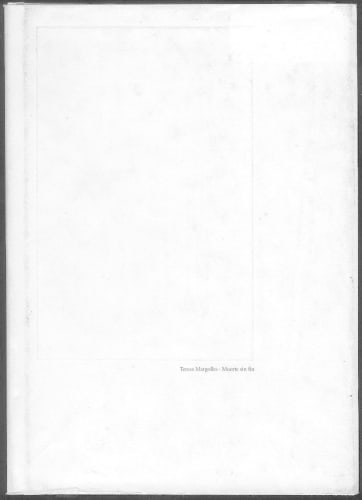 Teresa Margolles, Muerte Sin Fin, 2004