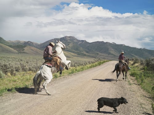 Lucas Foglia, Frontcountry